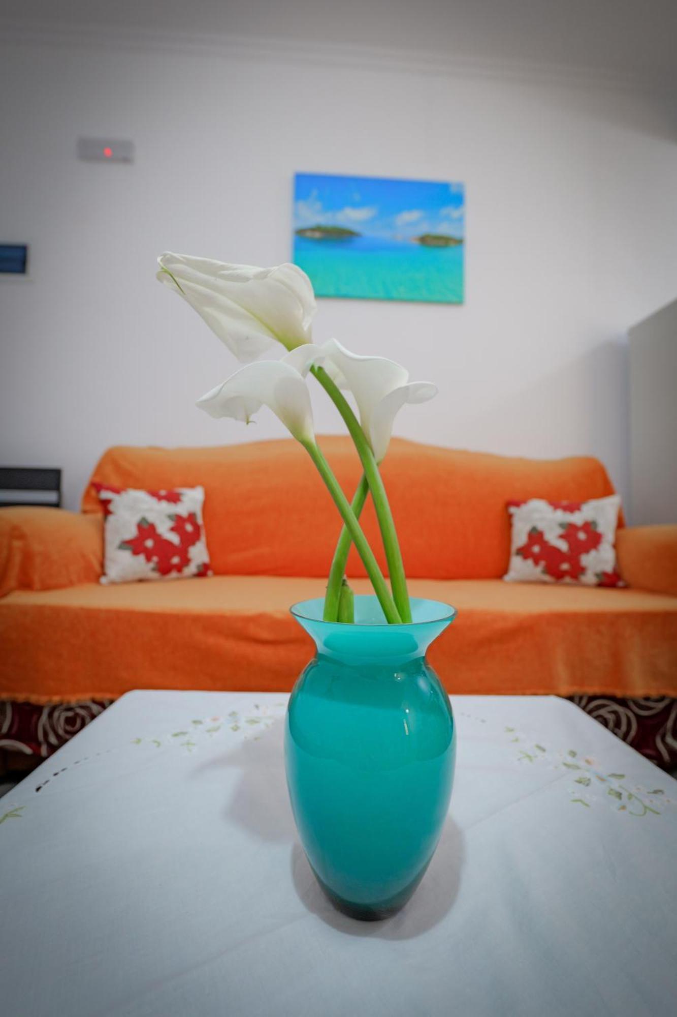 Agur Kapo Apartment *