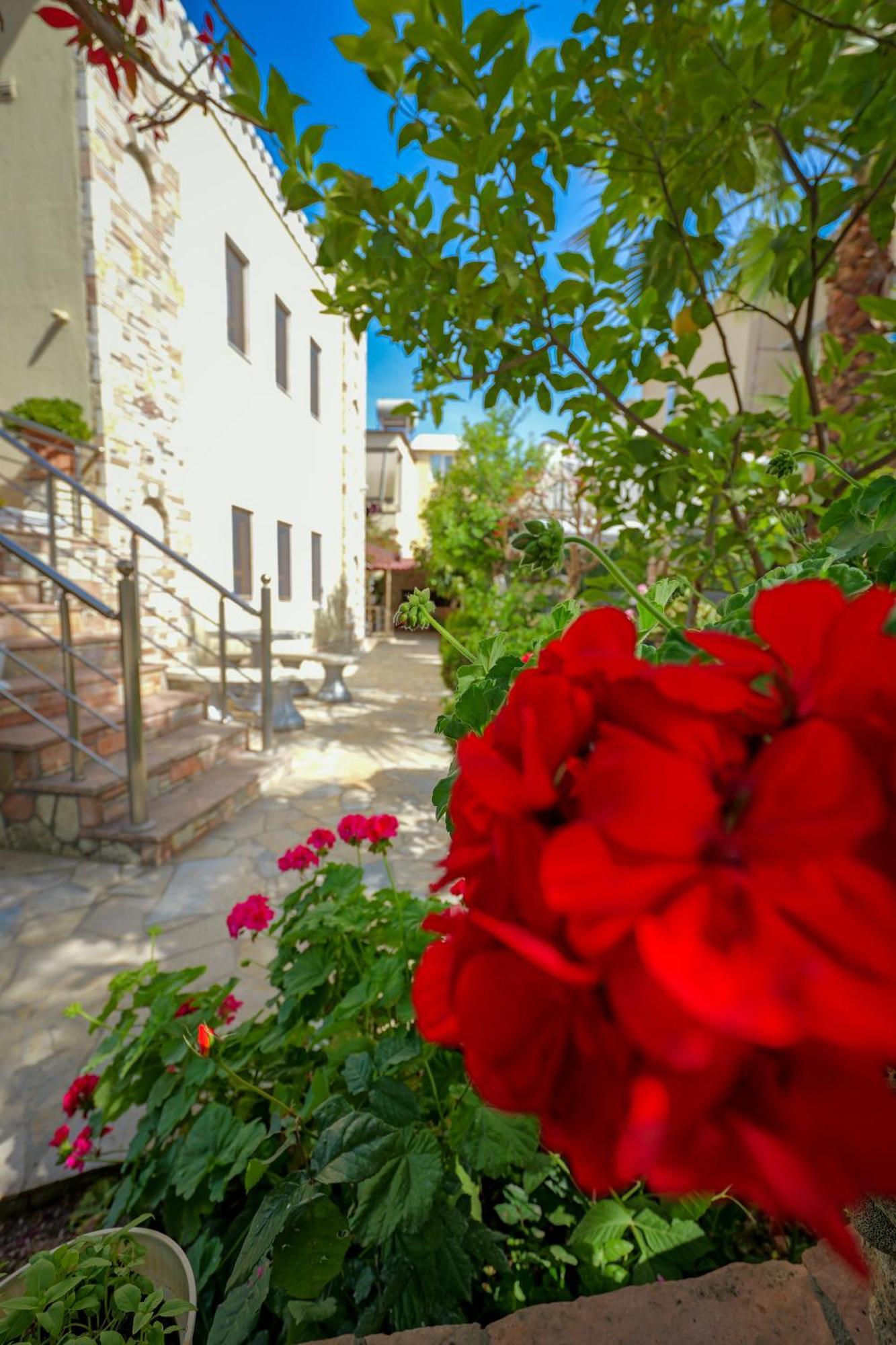 Apartment Agur Kapo Ksamil
